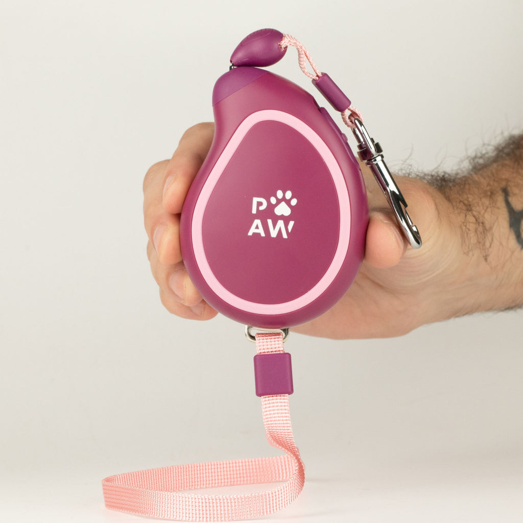 Trela Extensível Mini Mango 3m | Controlo Suave até 8kg