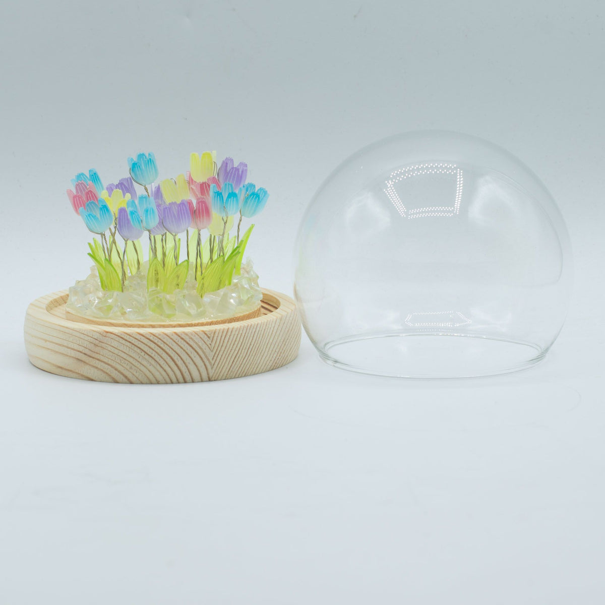 Jardim Eterno: Cúpula com Tulipas Coloridas e Luz LED