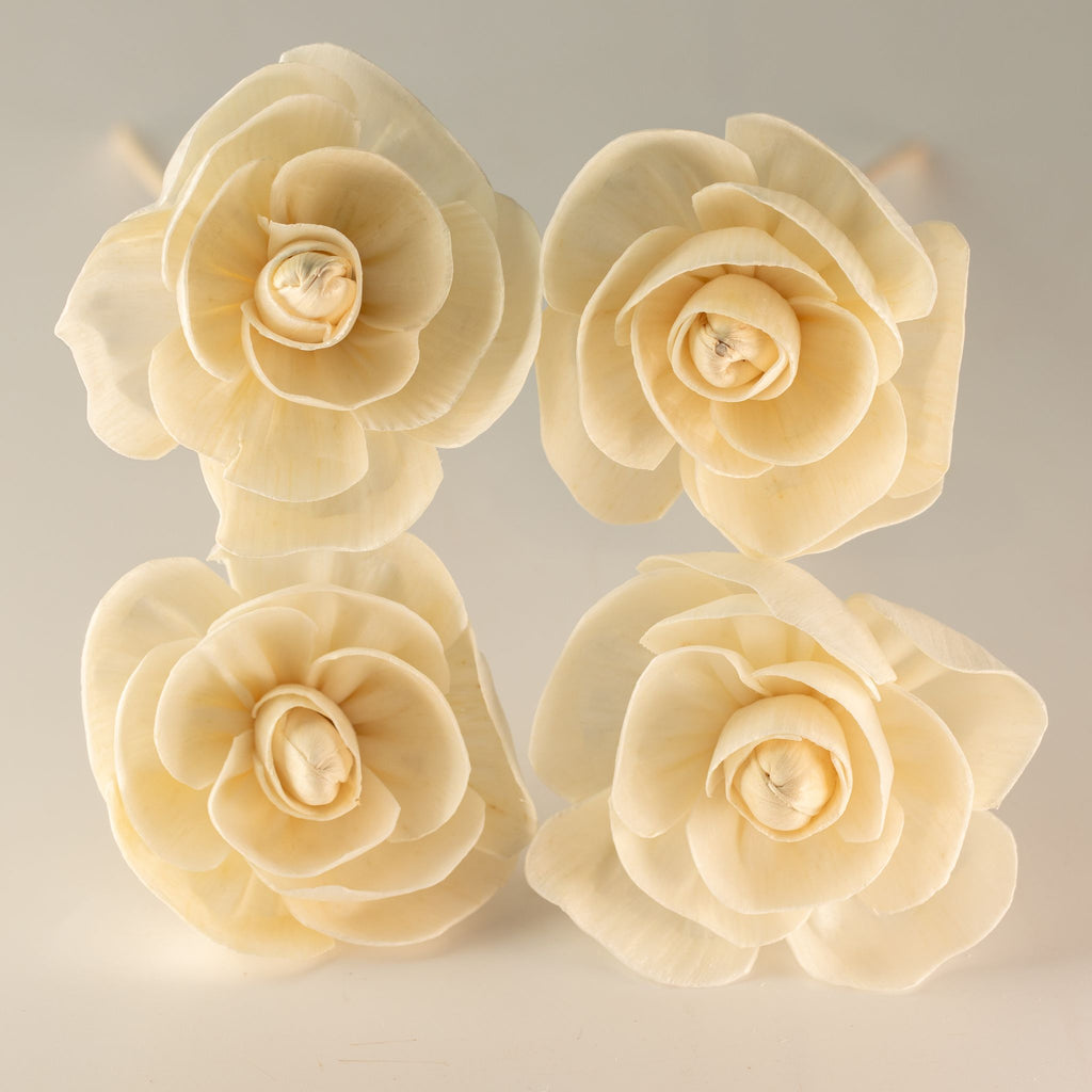 Flores Difusoras em Madeira de Sola (Pack de 4) – Aroma e Design