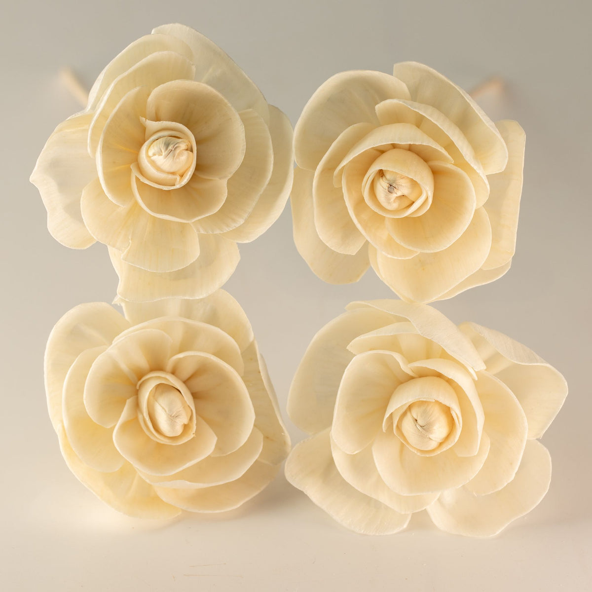 Flores Difusoras em Madeira de Sola (Pack de 4) – Aroma e Design