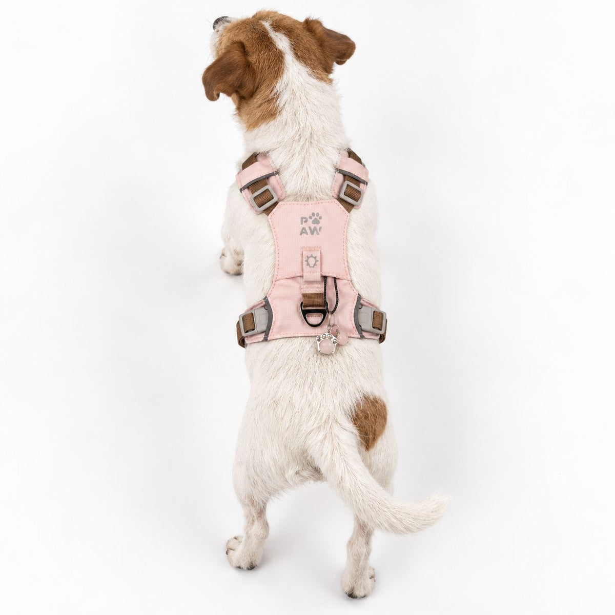 Peitoral para Cão PAW Step-in com Malha Refletora Rosa (S)