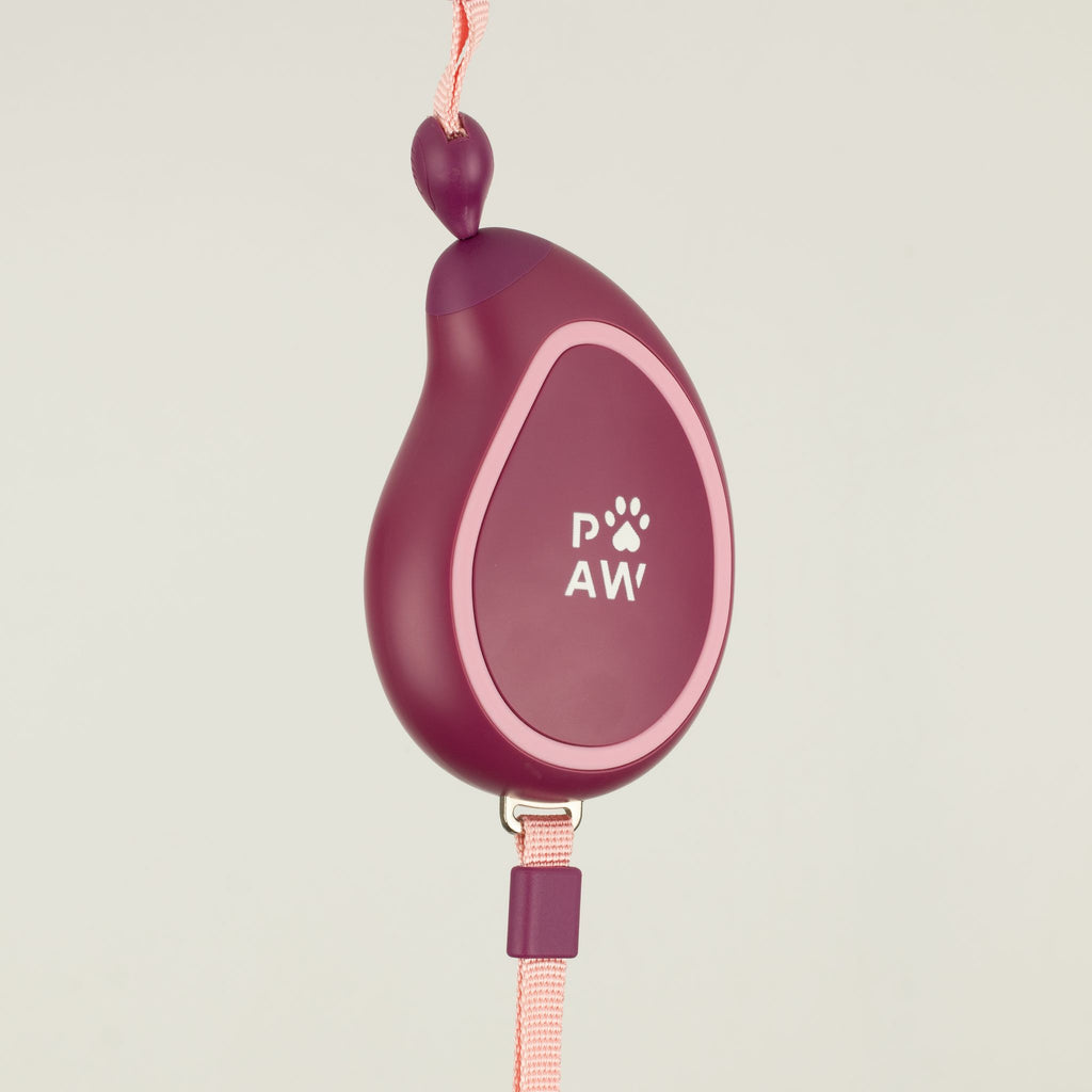 Trela Extensível Mini Mango 3m | Controlo Suave até 8kg