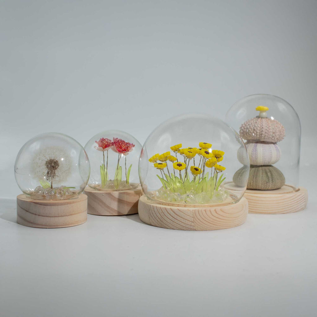 Jardim Eterno: Cúpula com Tulipas Coloridas e Luz LED