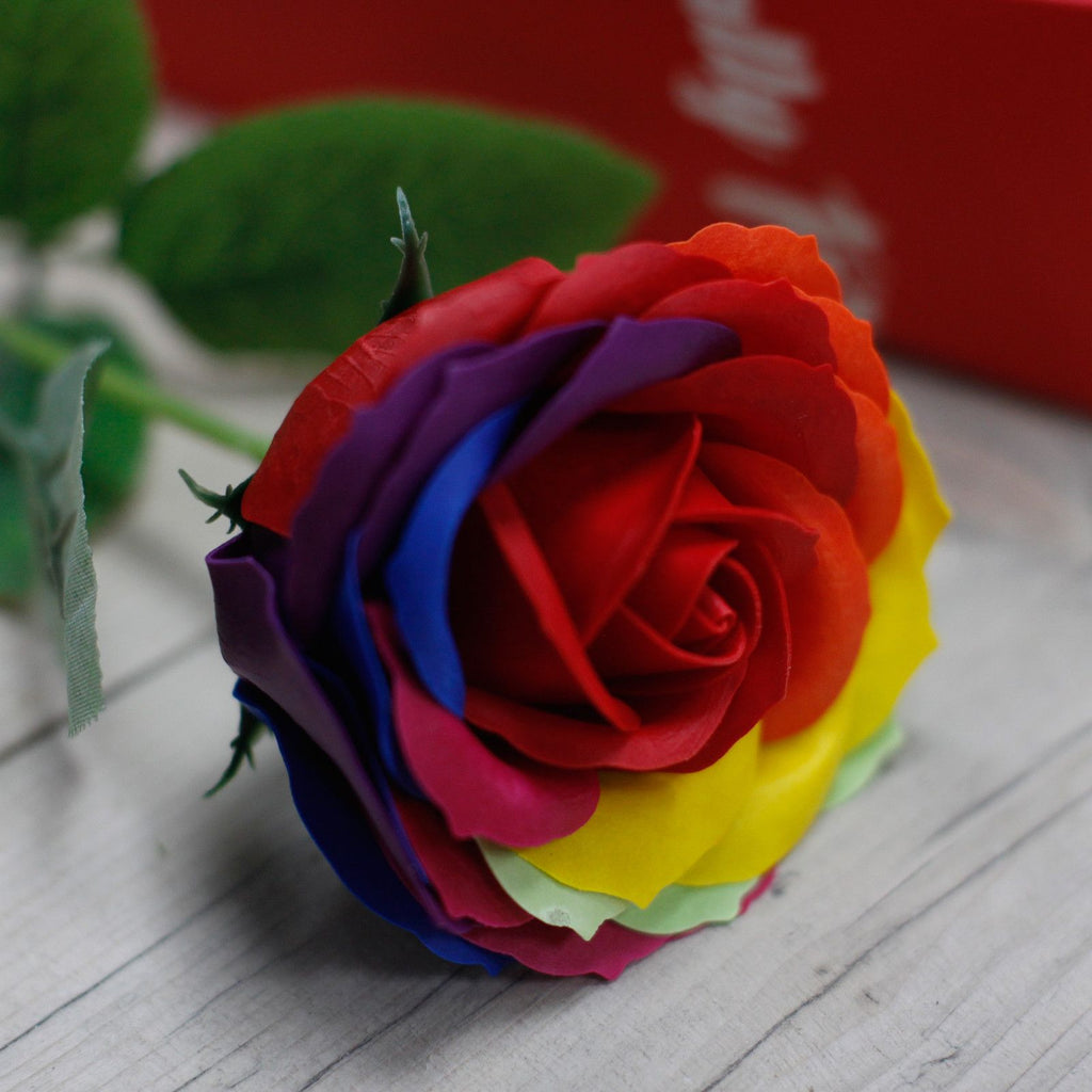 Rosa de Sabonete Arco-Íris em Estojo de Oferta (1 Unidade)