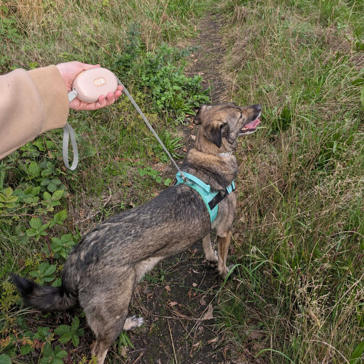 Paw Pocket Pod: Trela Retrátil de Bolso para Passeios Urbanos