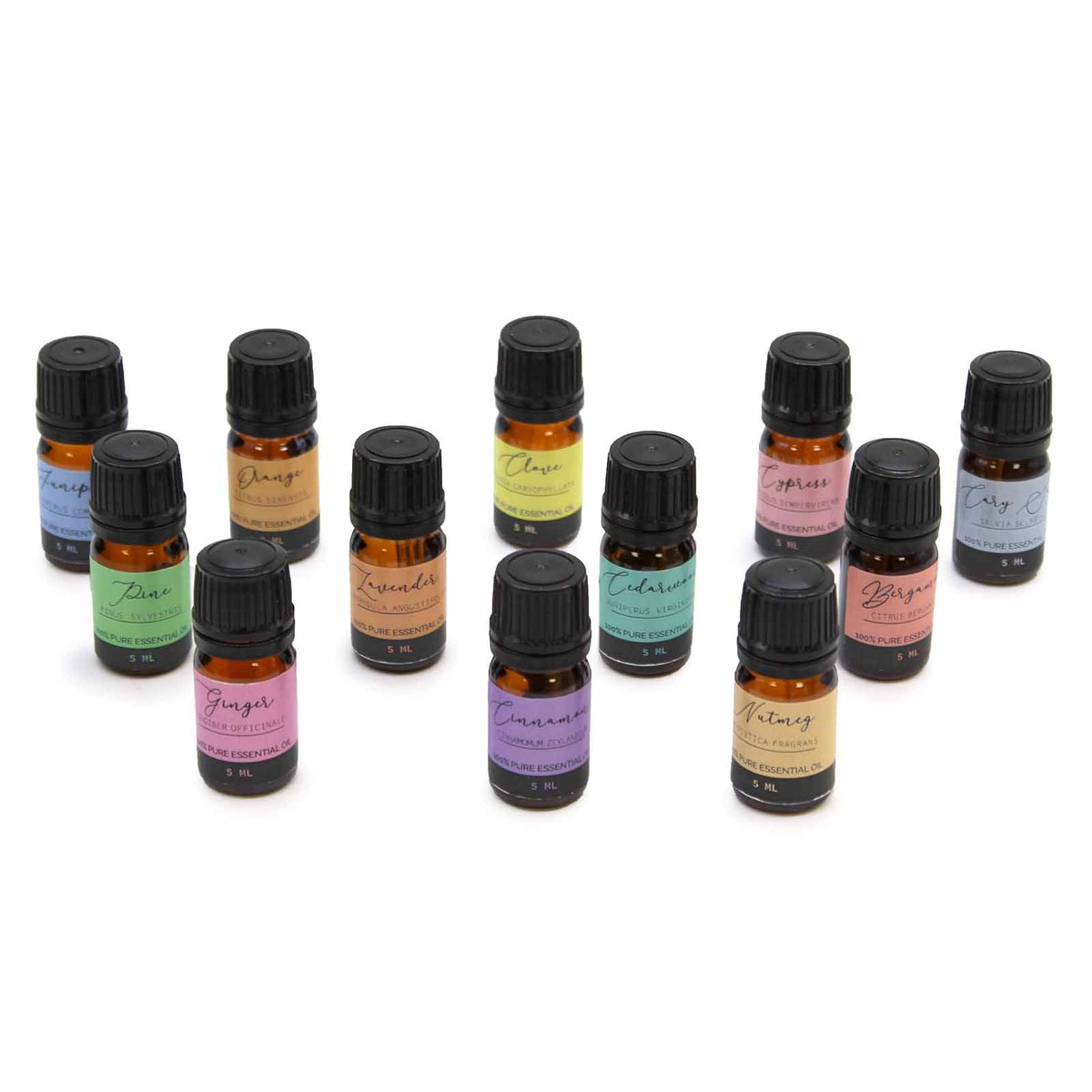 Conjunto 12 Óleos Essenciais Puros de Outono (12x5ml)