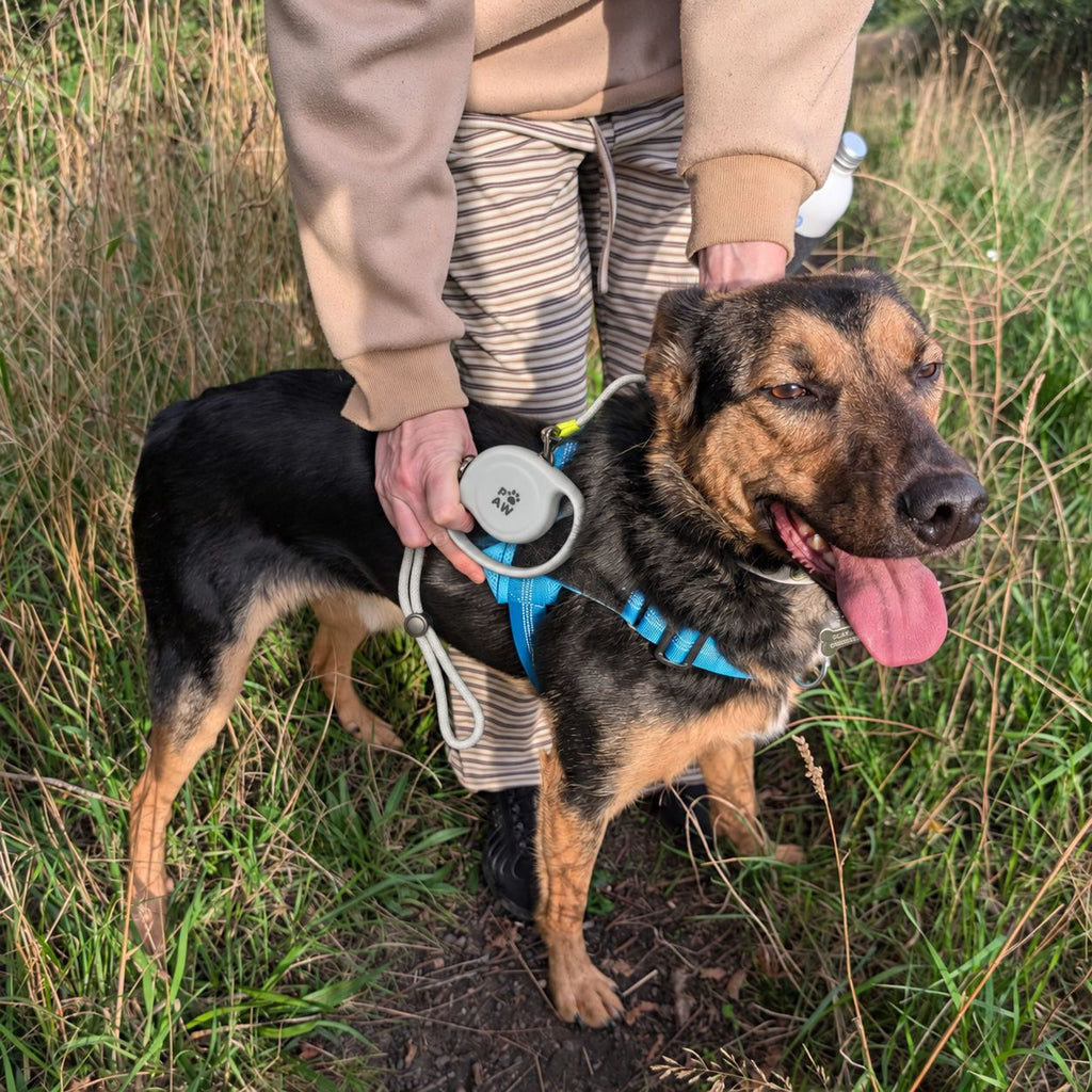 Trela Extensível Urbana Paw Strap 2m | Controlo até 35 kg