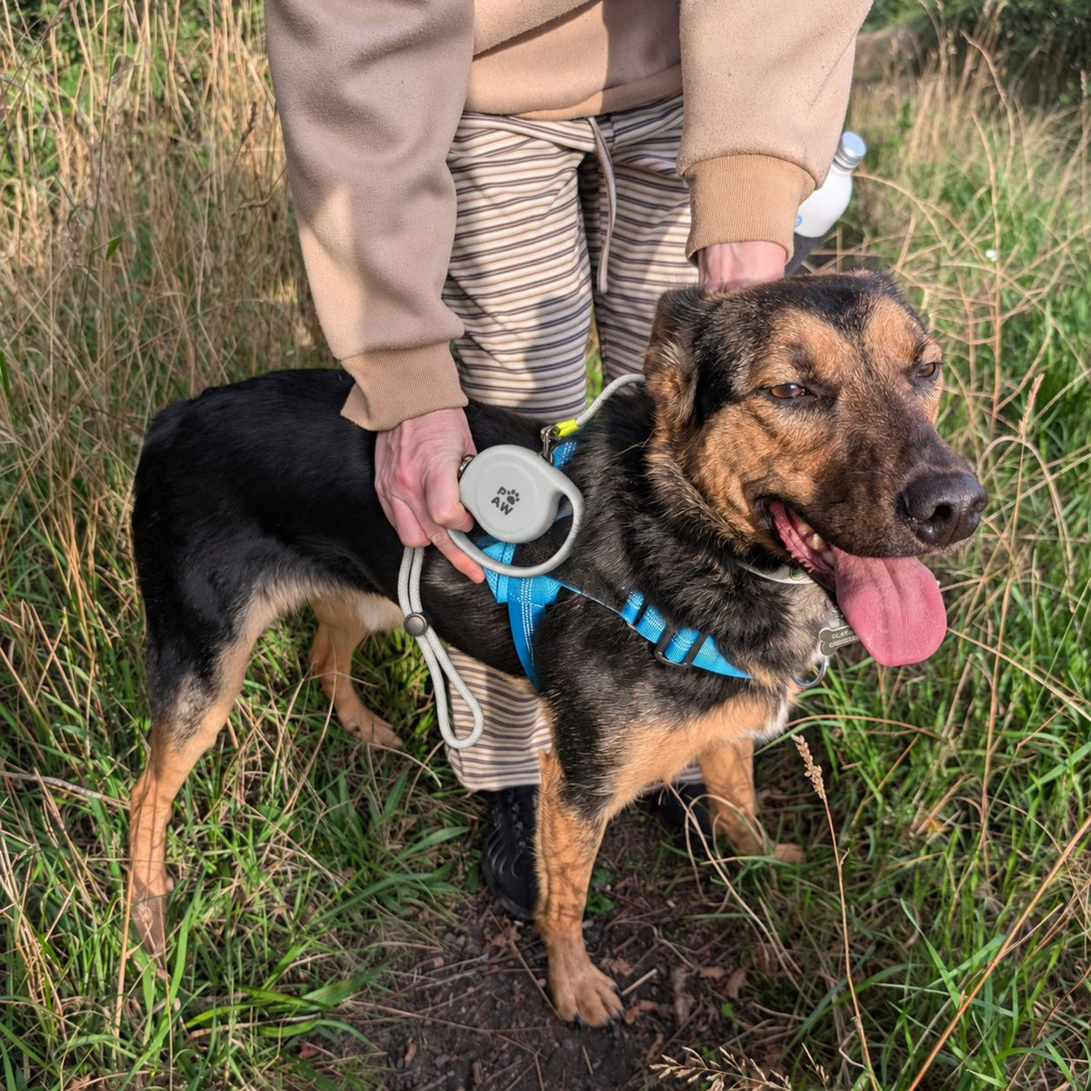 Trela Extensível Urbana Paw Strap 2m | Controlo até 35 kg