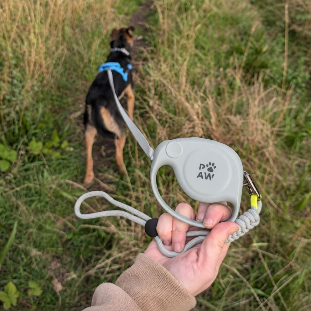 Trela Extensível Urbana Paw Strap 2m | Controlo até 35 kg