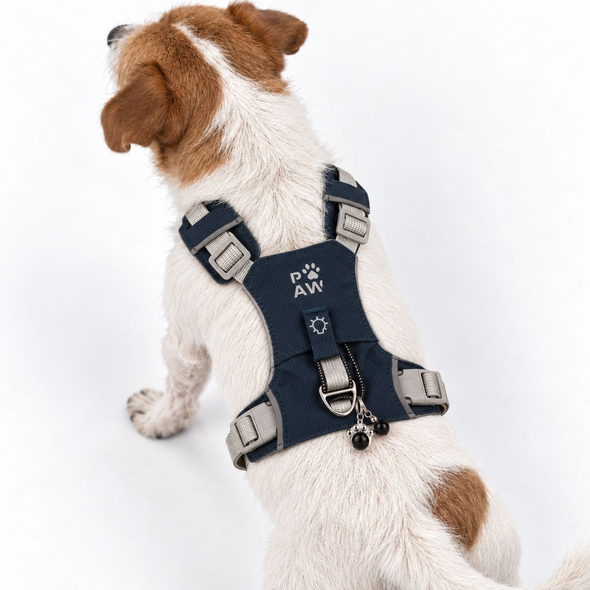 Peitoral Refletor PAW Guardian Cinzento | Conforto e Controlo S