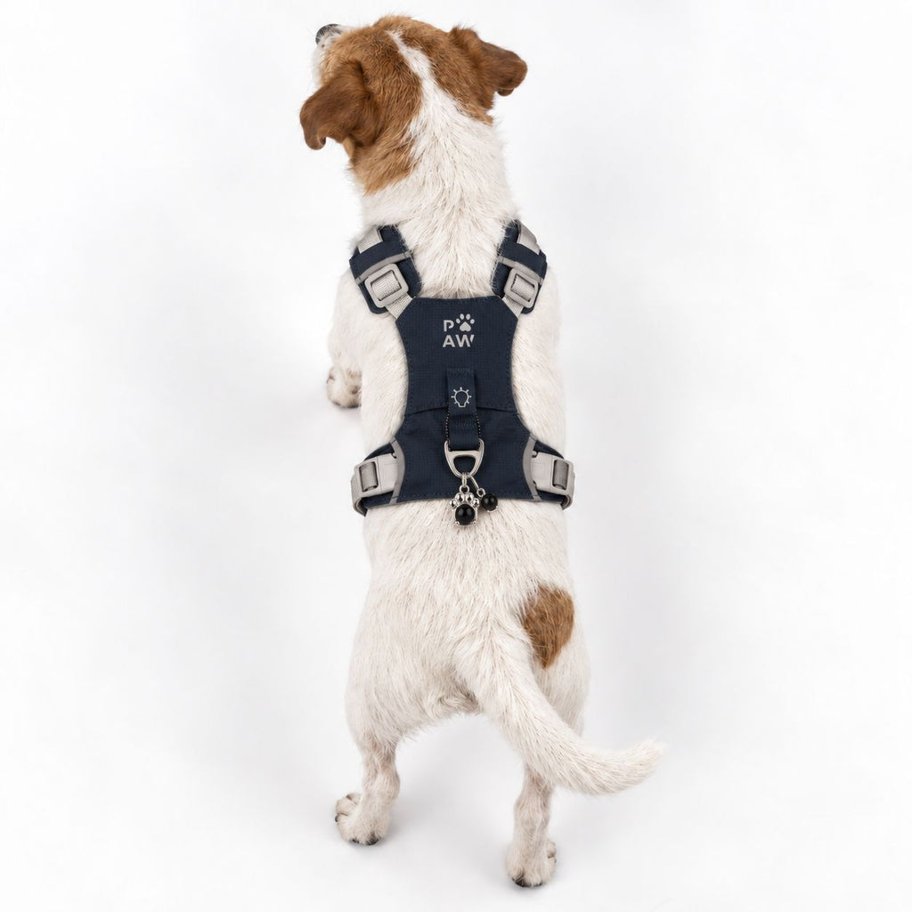 Peitoral Refletor PAW Guardian Cinzento | Conforto e Controlo S