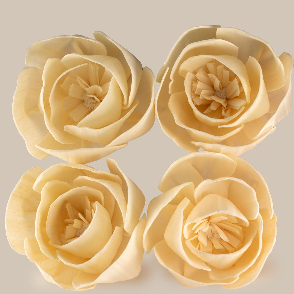 Flores Difusoras em Madeira Sola com Cordão (Pack de 4)
