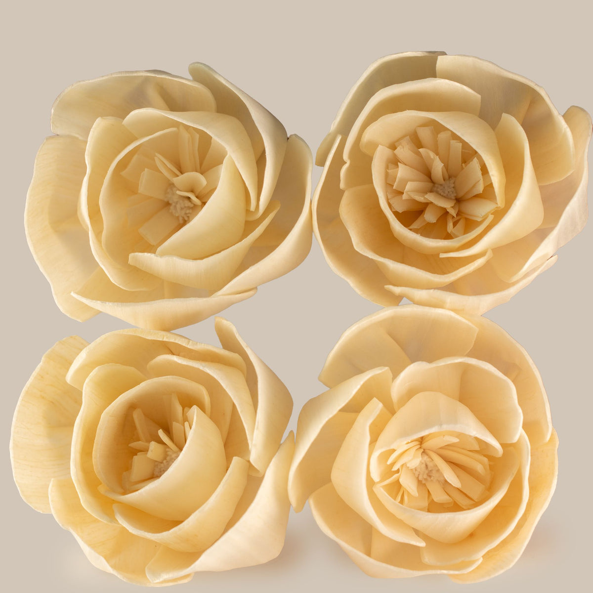 Flores Difusoras em Madeira Sola com Cordão (Pack de 4)