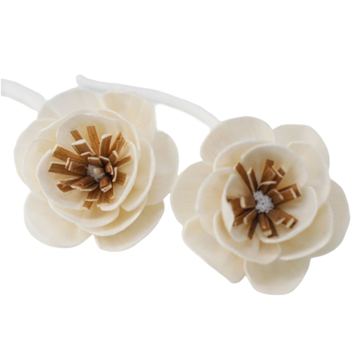 Flores Difusoras em Madeira Sola (Conjunto de 4)