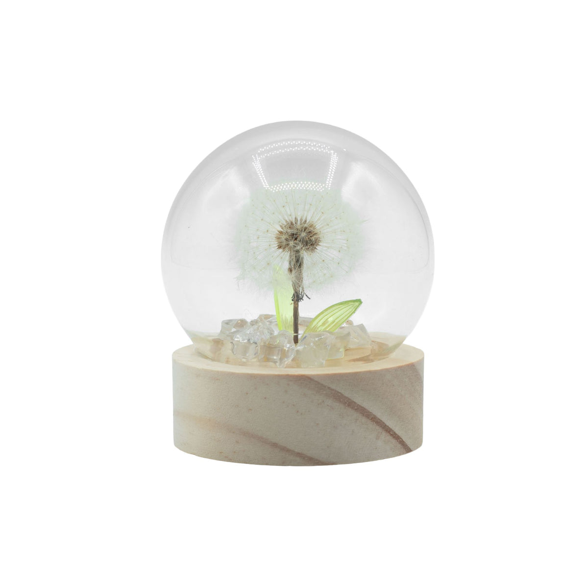 Cúpula LED Botânica: Luz Quente com Dente-de-Leão Natural