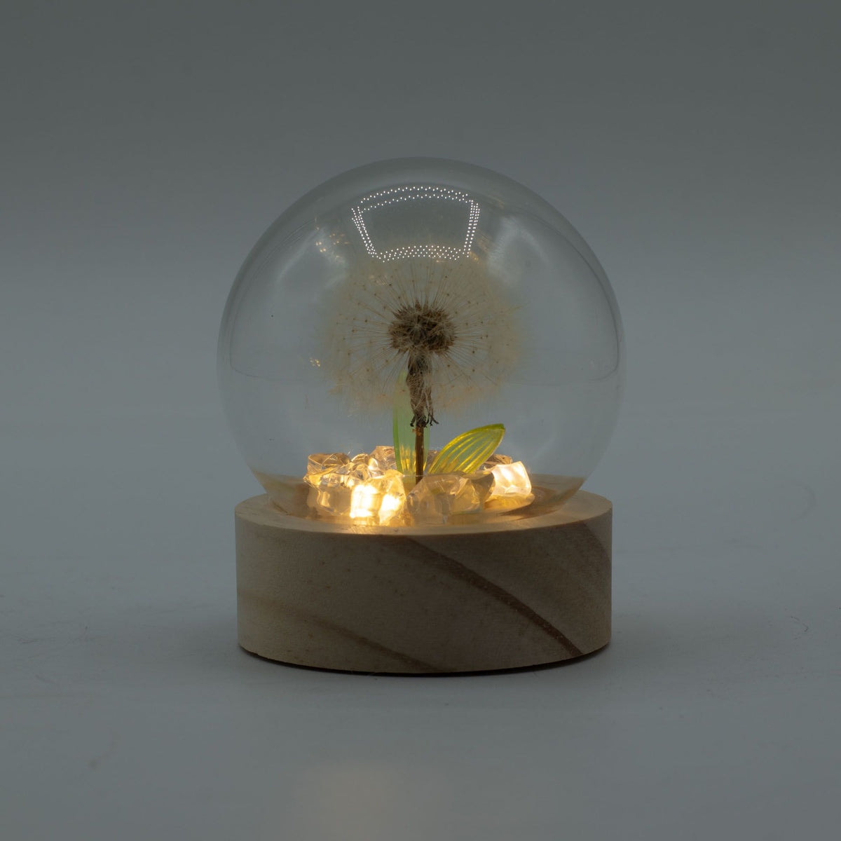 Cúpula LED Botânica: Luz Quente com Dente-de-Leão Natural