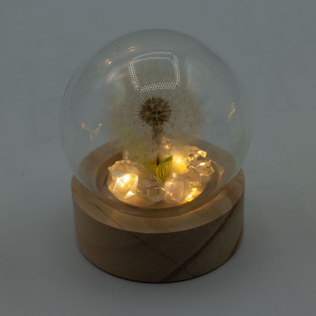 Cúpula LED Botânica: Luz Quente com Dente-de-Leão Natural