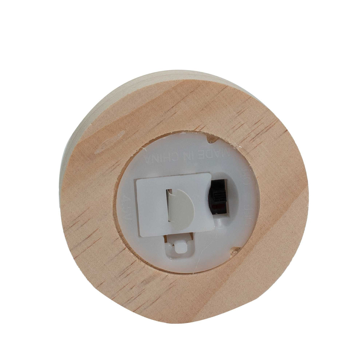 Cúpula LED Botânica: Luz Quente com Dente-de-Leão Natural