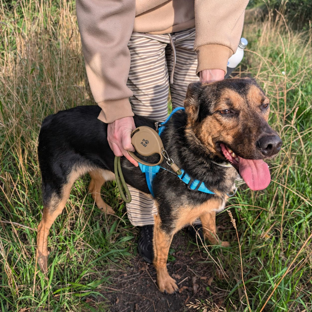 Trela Retrátil Paw Pet Urbana 2m | Controlo Firme até 35 kg