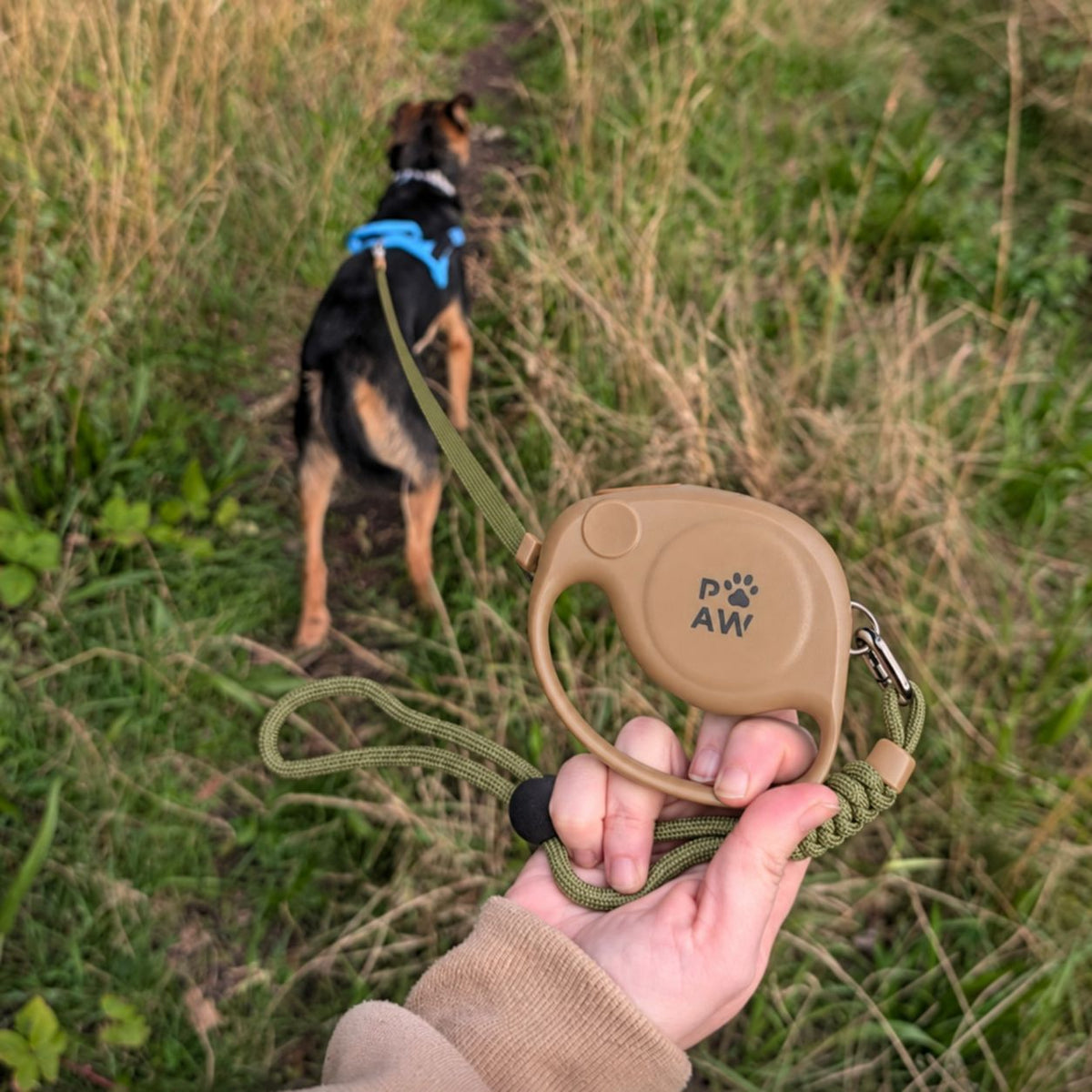 Trela Retrátil Paw Pet Urbana 2m | Controlo Firme até 35 kg